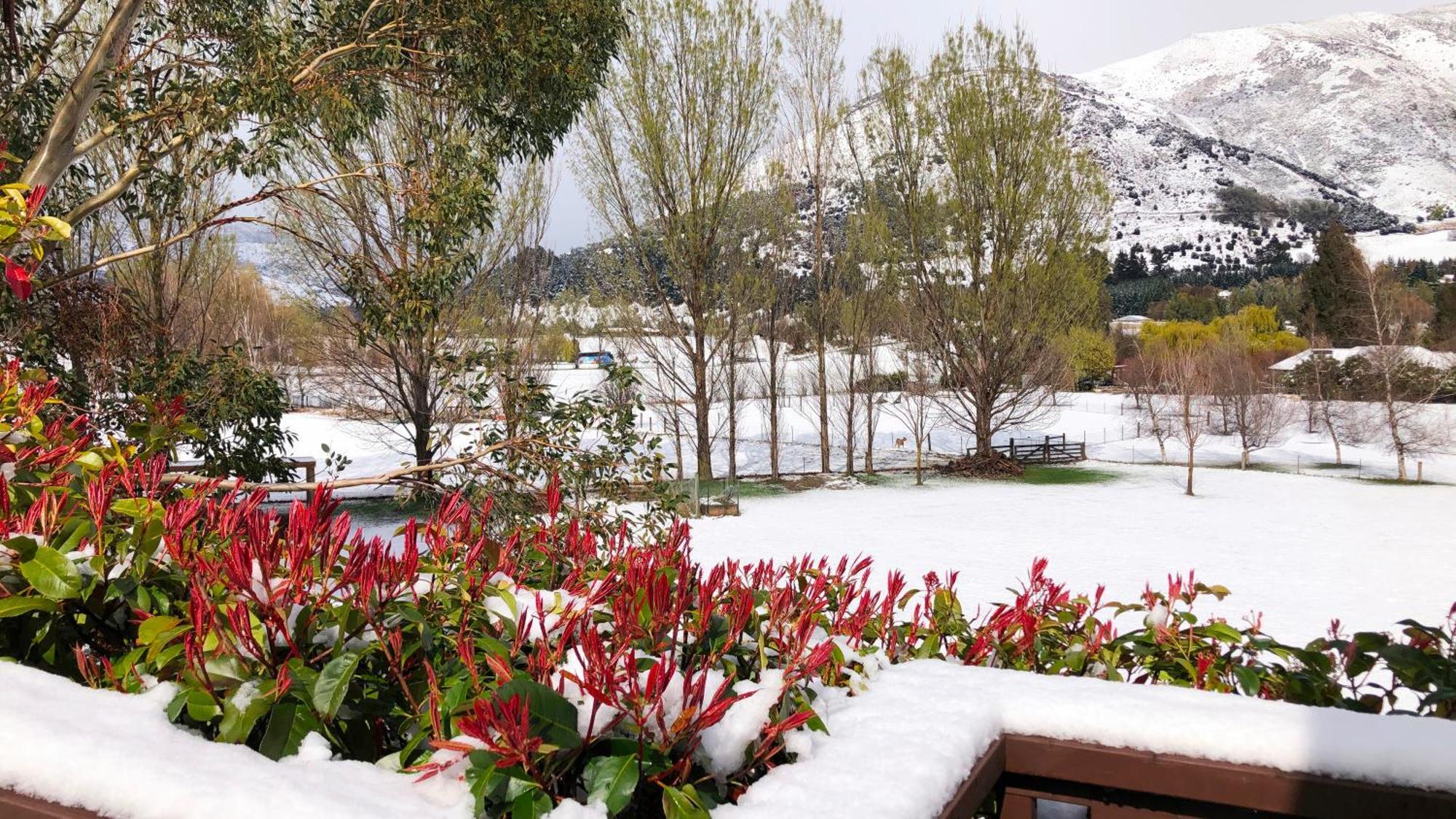 Alpine View Lodge Wanaka Dış mekan fotoğraf